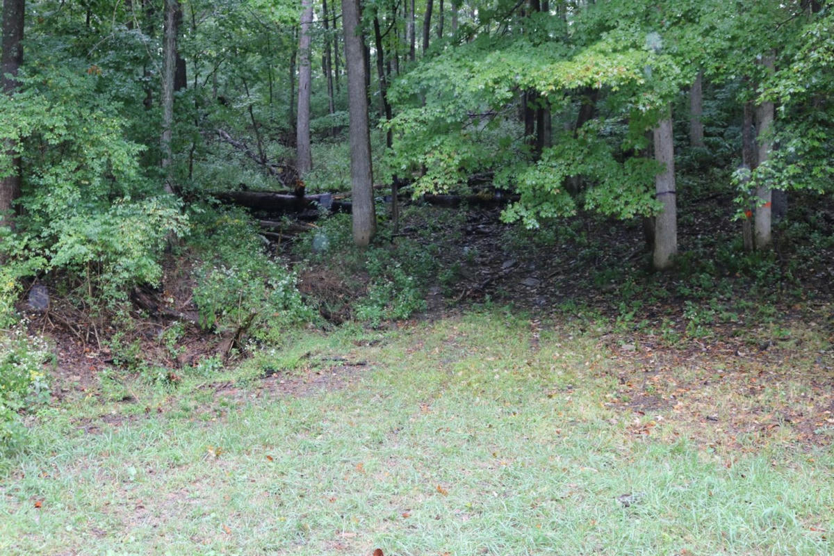 0 INDIAN WOODS TRAIL, LAWRENCEBURG, IN 47025, photo 1 of 4